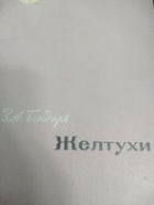 Local cover image